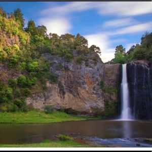 Meet your Posher, Elsie